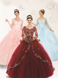 Beautiful Quinceanera Dress with Embroidery and Tulle in Pink Red and Blue Colors for Special Occasions