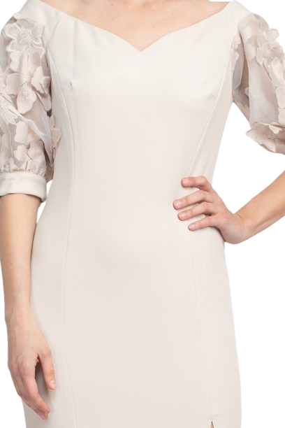 Alberto Makali Off The Shoulder V Neck Short Embellished Lace Sleeve Zipper Back Mermaid Slit Side Gown