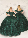 Quinceanera Ball Gown Dress - 3d Flower & Metallic Embroidery, Short Sleeve, Elegant Classic Summer Style for Special Occasions