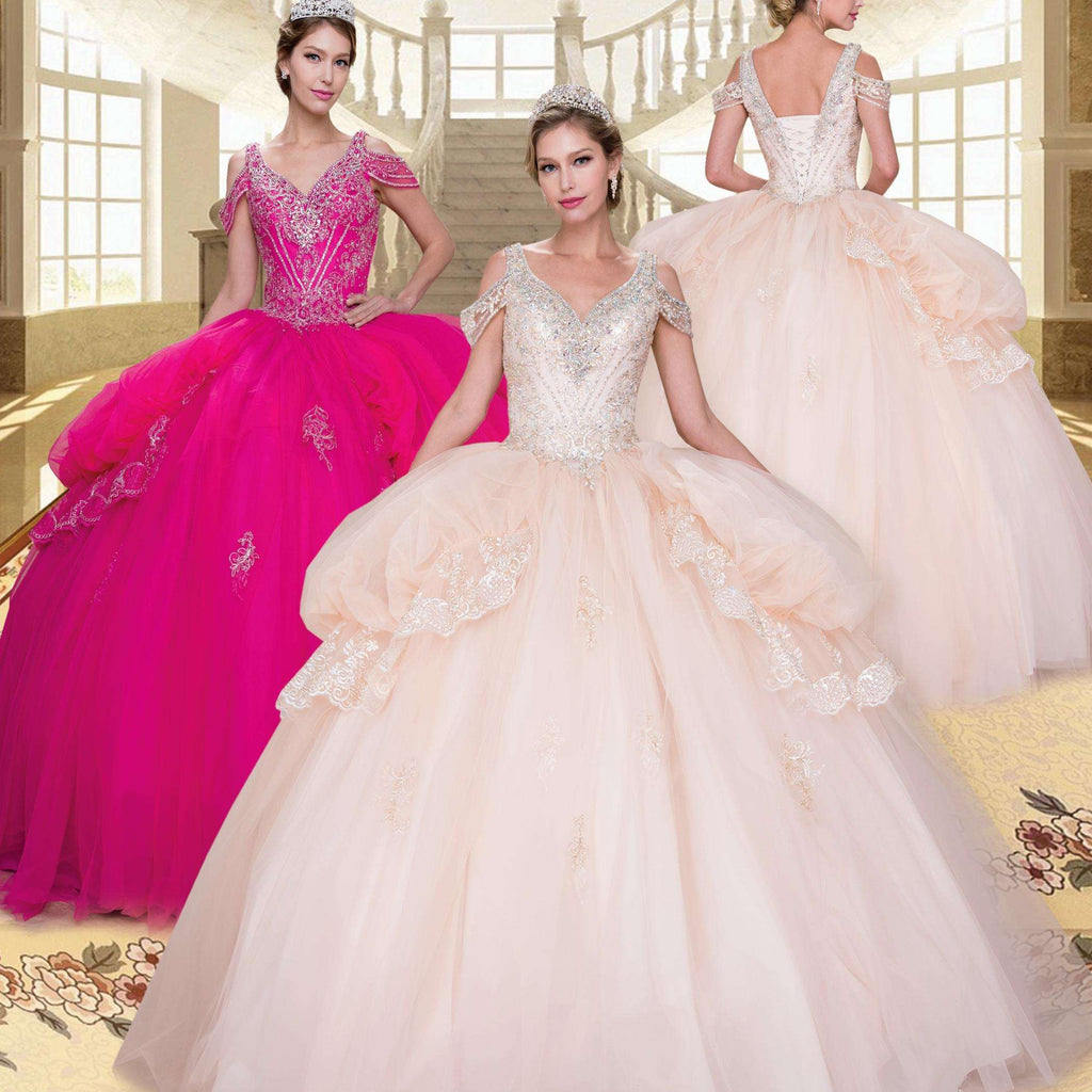 (LIVE 49) Adult gowns, tailored fit, eternal charm.