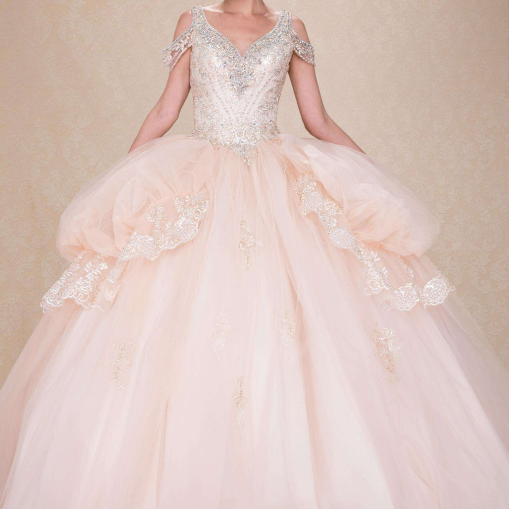 (LIVE 49) Adult gowns, tailored fit, eternal charm.