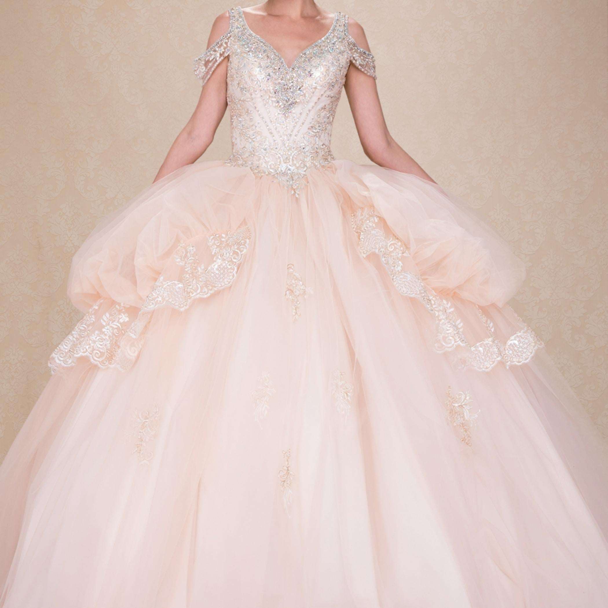 (LIVE 49) Adult gowns, tailored fit, eternal charm.